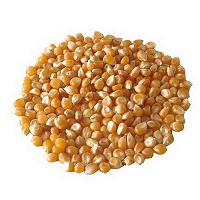 ORGANIC Popcorn (ziarno kukurydzy) (400g) - BIO